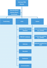 Proposed Organizational Chart For Cochrane Prm Download