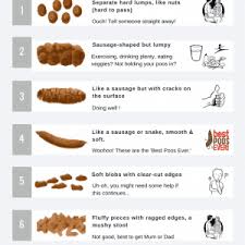 Bristol Stool Chart Archives Goodmix Superfoods