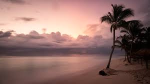 tropical beach sunset royalty free