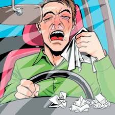 Resultado de imagen de alergias