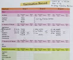 Dsource Types Of Immunization Card Mother And Child