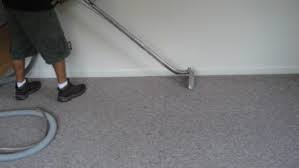 carpet cleaning sos professional services