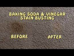 baking soda vinegar carpet stain