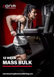 12 week m bulk training program d n a