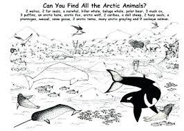 Antarctic animals coloring pages provided for educational purposes and personal use only. Antarctica Coloring Page Antarctic Animals Coloring Pages Pages Antarctic Animals Coloring Sheets Antarctic Animals C Arctic Animals Polar Animals Animal Books