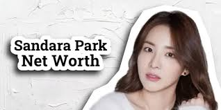 sandara park net worth singer actress