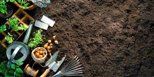 benefits of ing garden soil in bulk