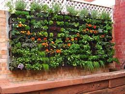 100 Best Vertical Garden Planters Ideas