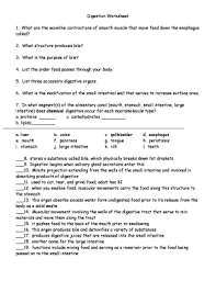 digestion worksheet fill and sign