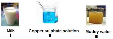 copper sulp solution muddy water
