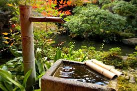 7 Zen Garden Ideas On A Budget Create