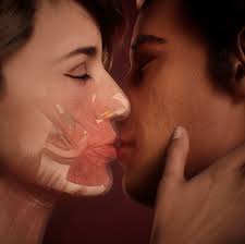 anatomy of a kiss complete anatomy