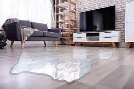 services all pro floor care