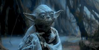 Image result for yoda images