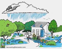 water harvesting rainwater harvesting