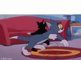 tom jerry searching flip