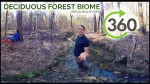 biome deciduous forest essdack open