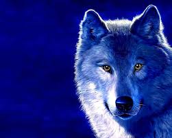 dog 3d ice wolf hd wallpaper pxfuel