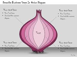 1113 Business Ppt Diagram Describe Business Steps In Onion
