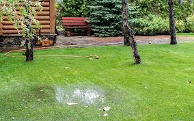 Improve Drainage In Your Lawn And