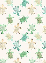 19 cute turtles wallpapers