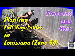 Planting Fall Vegetables In Louisiana