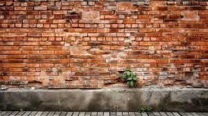 An Old Brick Wall With A Plant Growing