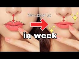 upper lip fat