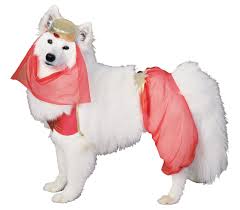 Rubies Pet Costume Harem Dog Large Check Out This Great
