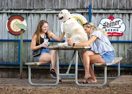 10 dog friendly restaurants in austin