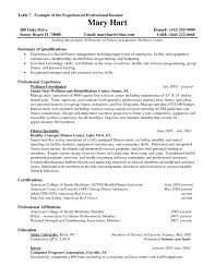 19 Professional Experience Resume Example