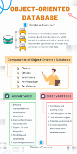 object oriented database components