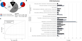 Frontiers Comparative Genomic Analysis Of Staphylococcus