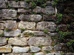 Free Stock Images Old Stone Wall Green