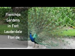 Flamingo Gardens In Fort Lauderdale