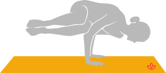 Top free images & vectors for bakasana in png, vector, file, black and white, logo, clipart, cartoon and transparent. What Is Parsva Bakasana Definition From Yogapedia