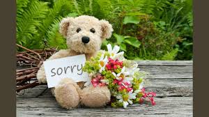 why is it difficult to say sorry