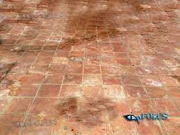 terracotta floor tile cleaning and