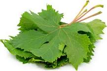 Can you eat grape leaves Raw?