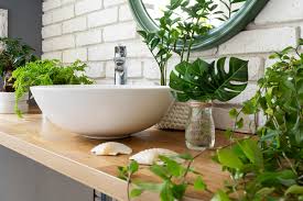 5 best succulents in the bathroom