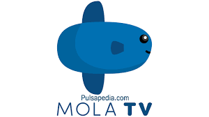 Mola tv dikenal sebagai situs. Cara Berlangganan Mola Tv Mola Matrix Tv