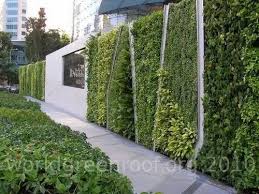 Procurement Green Vertical Garden