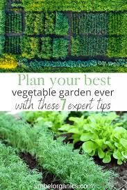 How To Plan Your Garden Layout Umbel