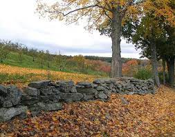 New England Stone Wall Stone