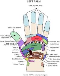 Left Hand Reflexology Chart Reflexology Hand Reflexology