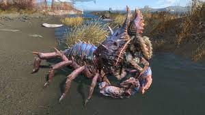 In fallout 4 albino mirelurk hunters are blue, rather than white like most  albino creatures. This is because of the real life phenomenon of rare blue  lobsters, with one in 2 million