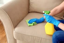 how to clean a sofa in 5 steps findhow