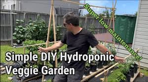 easy diy hydroponic vegetable garden
