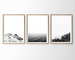 Wall Art Black And White Nature Prints