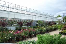 Greenhouse Equipment Coverings Glass